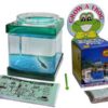 grow a frog kit