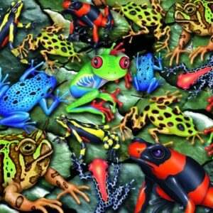 frog jigsaw puzzle